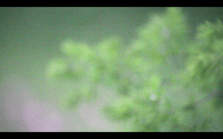Screen Shot 2020-04-15 at 1.20.30 am