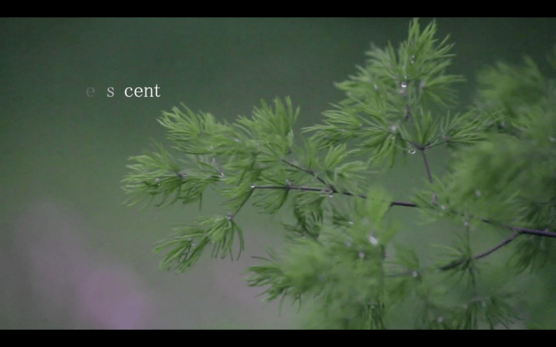 Screen Shot 2020-04-15 at 12.02.19 am